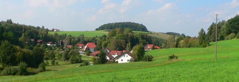 ferienhaus-bayerischer-wald-wald-ausblick