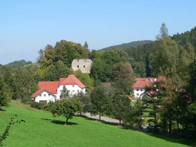 neuhaus-landkreis-cham-burgruine-pizzeria-ansicht